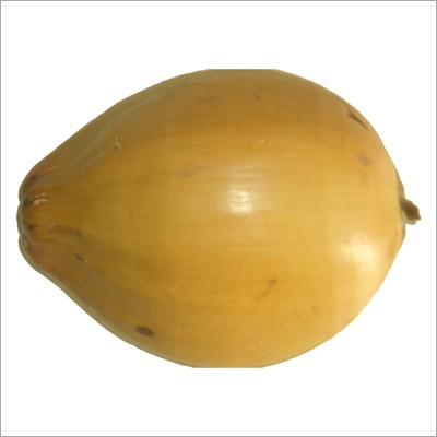 Tender Coconut - Single