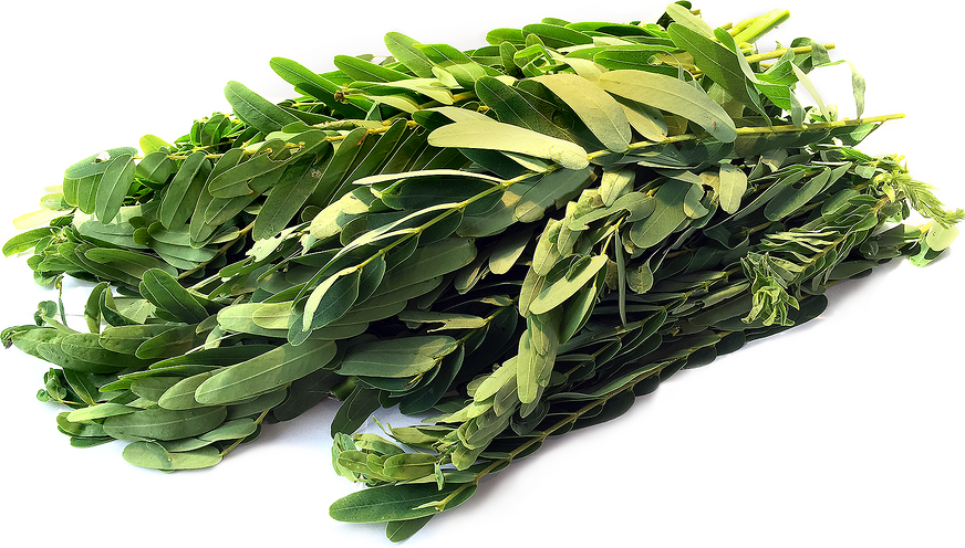 Agathi Leaves (Keerai) - App.500g